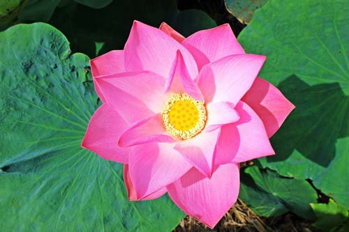 米乐m6易游