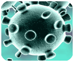 沙巴足球app下载安卓版二维码